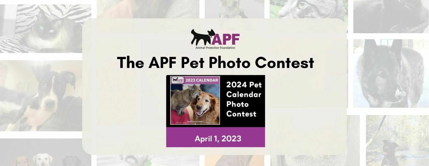 The Animal Protective Foundation Pet Photo Contest